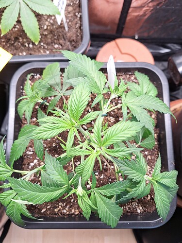 Growreport Bild 12
