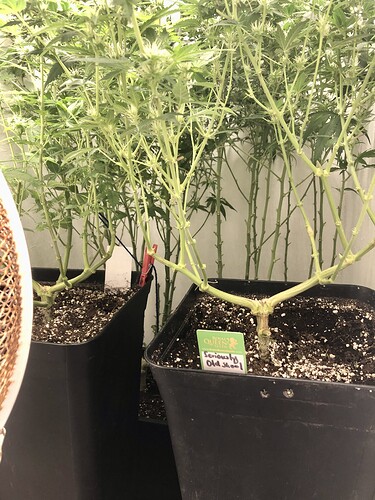 Growreport Bild 10