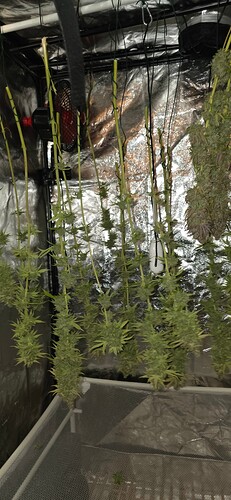 Growreport Bild 40