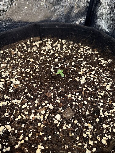 Growreport Bild 24