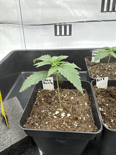 Growreport Bild 14