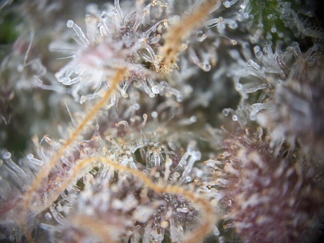 PXL_20240224_000818568