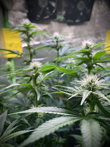 Growreport Bild 11