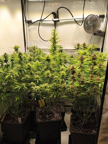 Growreport Bild 13