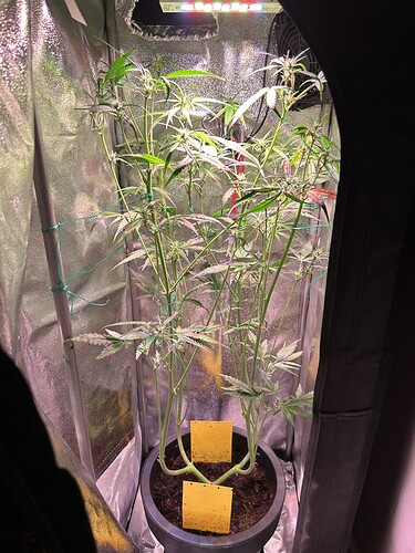 Growreport Bild 5