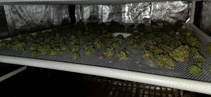 Growreport Bild 8