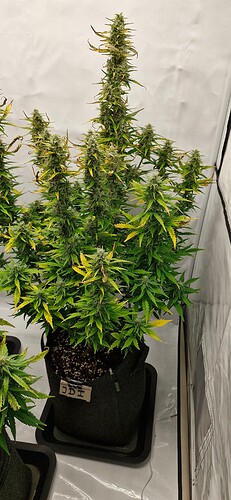 Growreport Bild 24