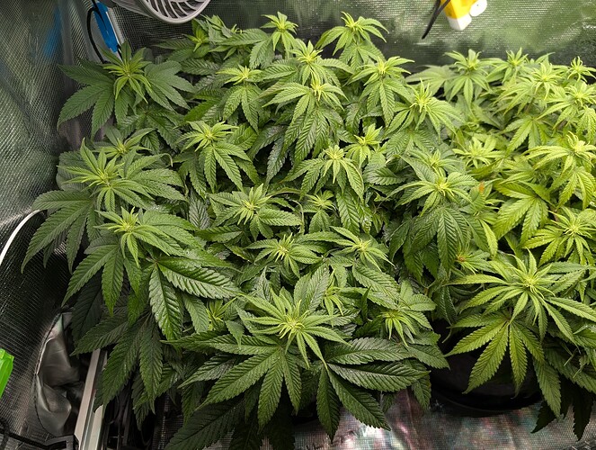 Growreport Bild 10