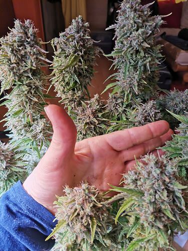 Growreport Bild 18