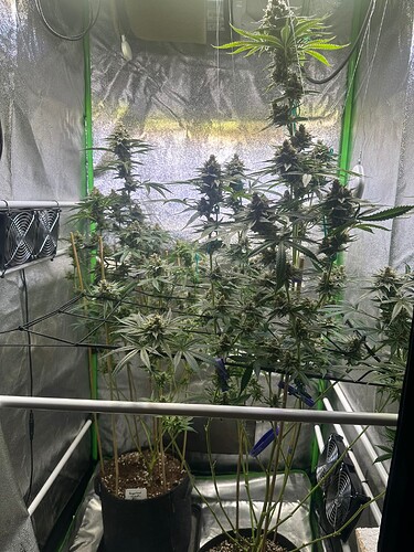 Growreport Bild 21