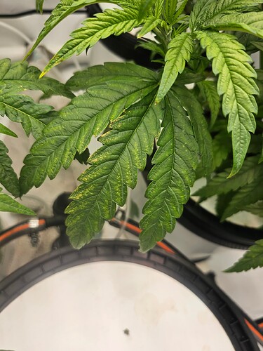 Growreport Bild 17