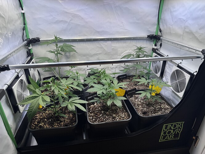 Growreport Bild 10
