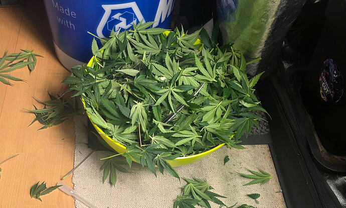Growreport Bild 24