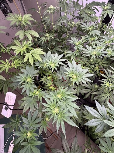 Growreport Bild 11