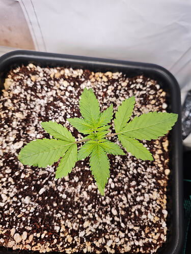 Growreport Bild 21