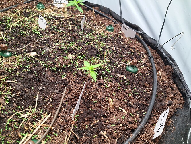 Growreport Bild 11