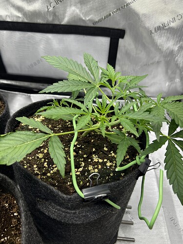 Growreport Bild 15