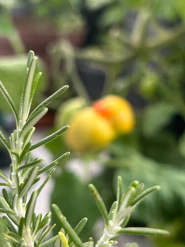 Growreport Bild 20