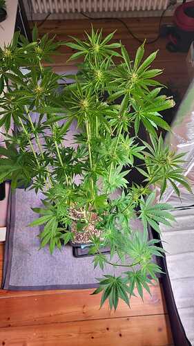 Growreport Bild 10