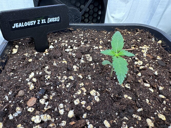 Growreport Bild 15