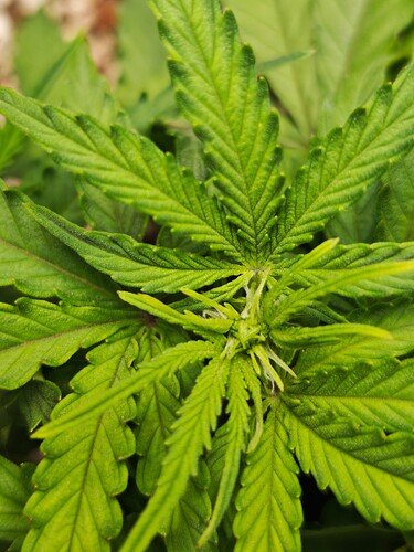 MVIMG_20251012_210502