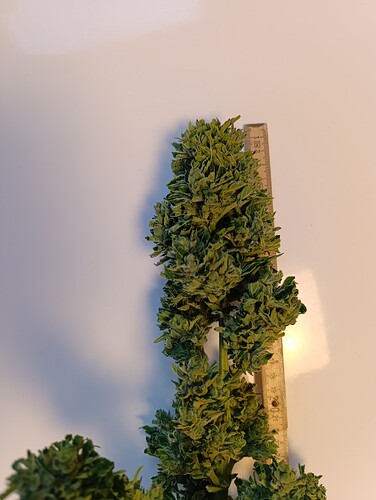 Growreport Bild 3
