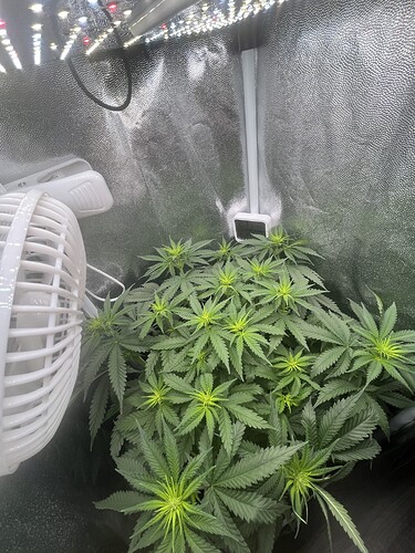 Growreport Bild 15