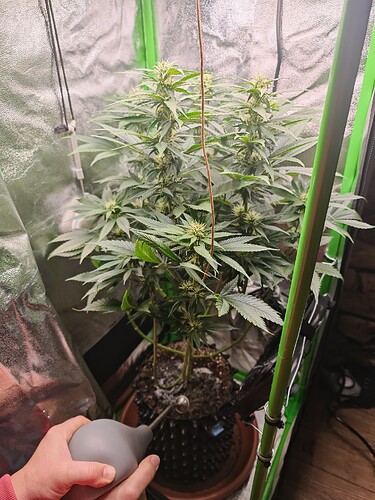 Growreport Bild 1