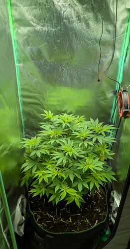 Growreport Bild 1