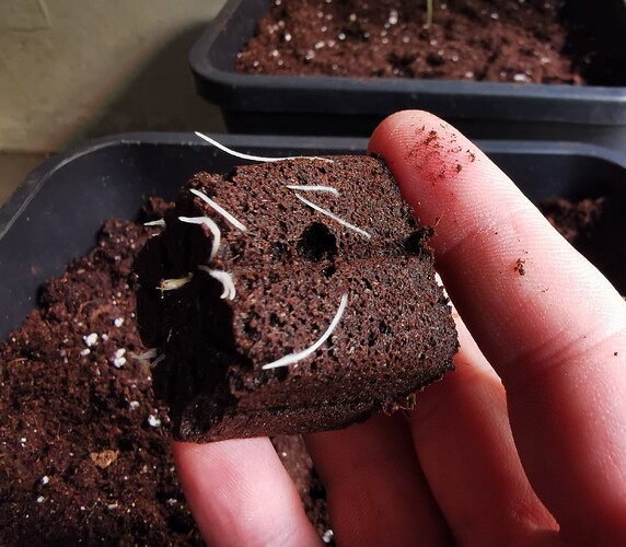 Growreport Bild 11