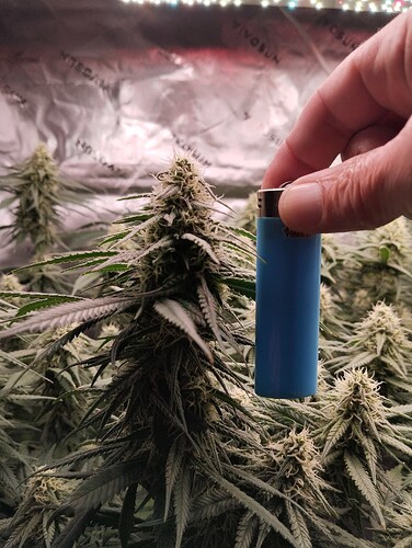 Growreport Bild 13