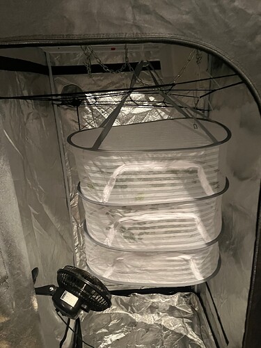 Growreport Bild 8