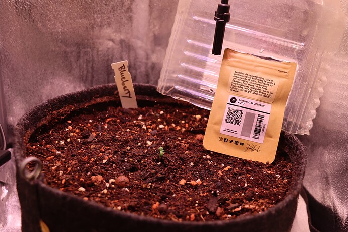 Growreport Bild 9