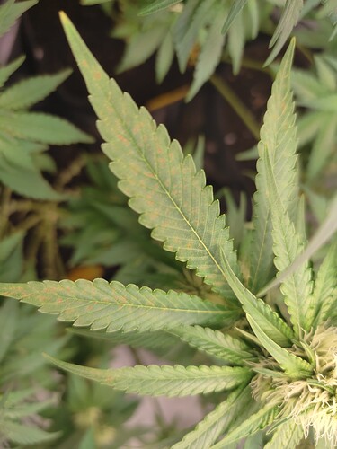 Growreport Bild 16