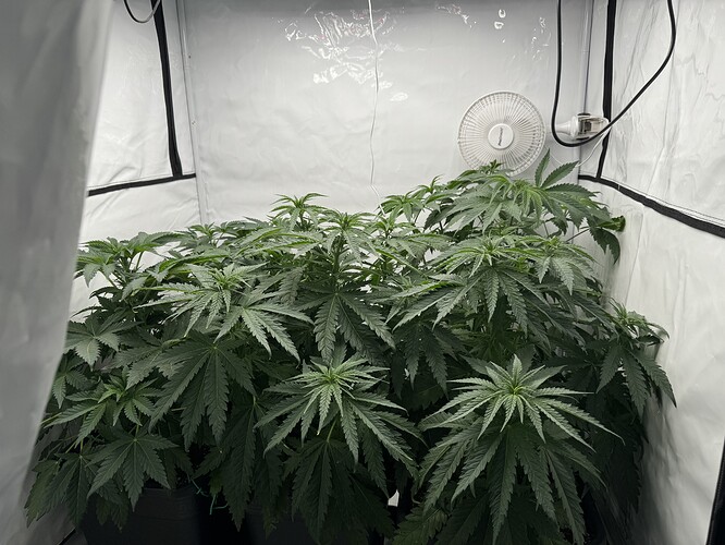 Growreport Bild 2