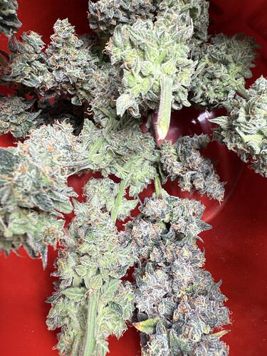Growreport Bild 4
