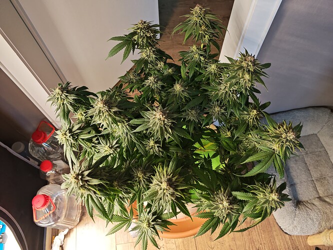 Growreport Bild 16