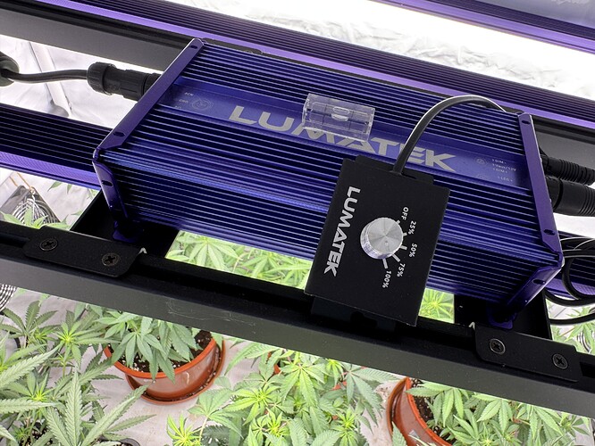 Growreport Bild 7