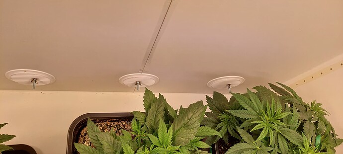 20251204_204855