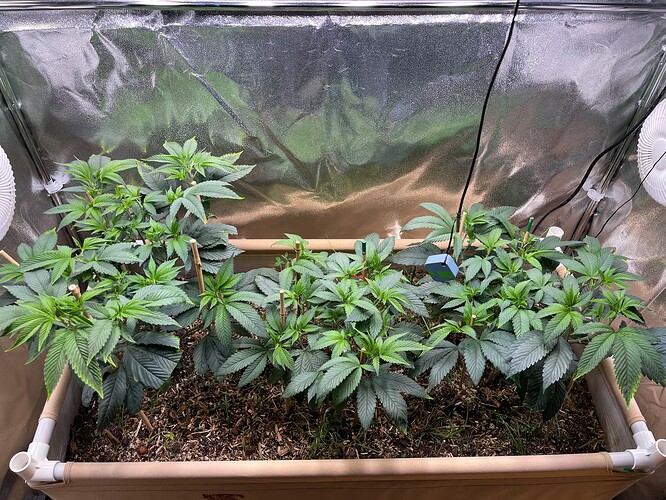 Growreport Bild 2