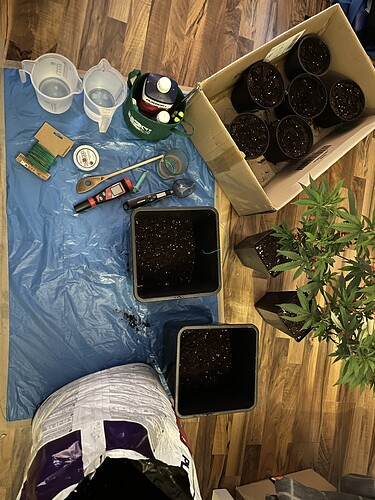 Growreport Bild 4