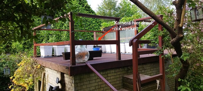 Growreport Bild 11
