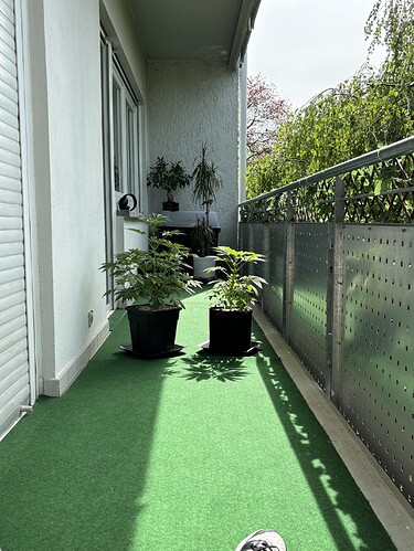 Growreport Bild 26