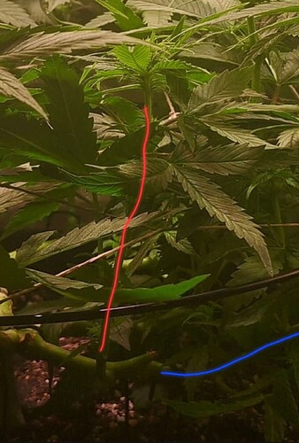 Growreport Bild 12