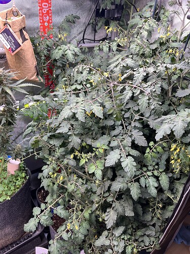Growreport Bild 9