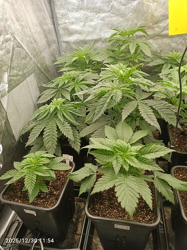 Growreport Bild 4