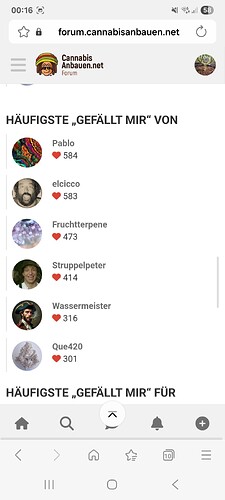 Screenshot einer Webseite mit einer Liste von Nutzern und deren "Gefällt mir"-Angaben.