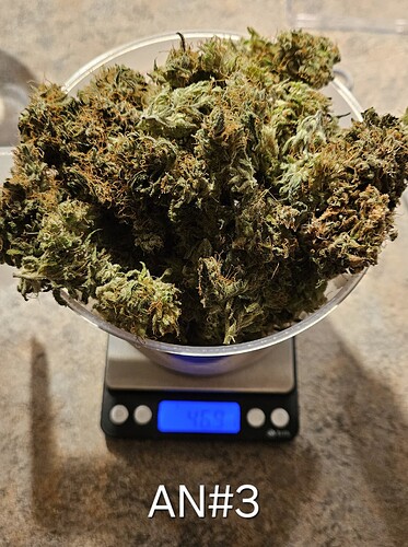 Growreport Bild 4