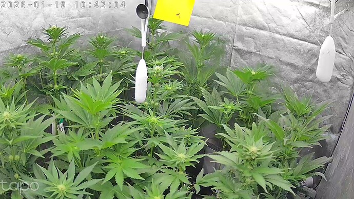 Growreport Bild 3