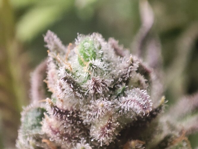 Growreport Bild 8